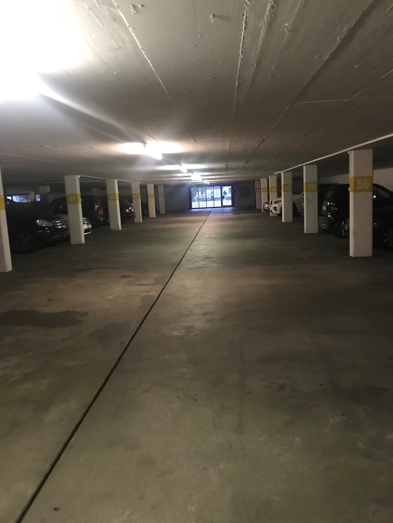 Einstellhallenplätze - Schützen Sie Ihr Auto vor Blütenstaub! (4)