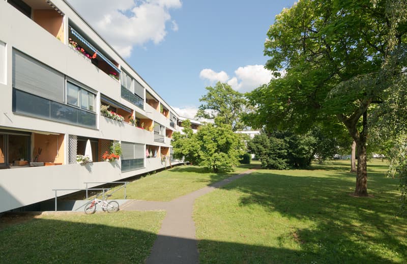 Dépôt fonctionnel situé dans le quartier du Grand-Saconnex (2)