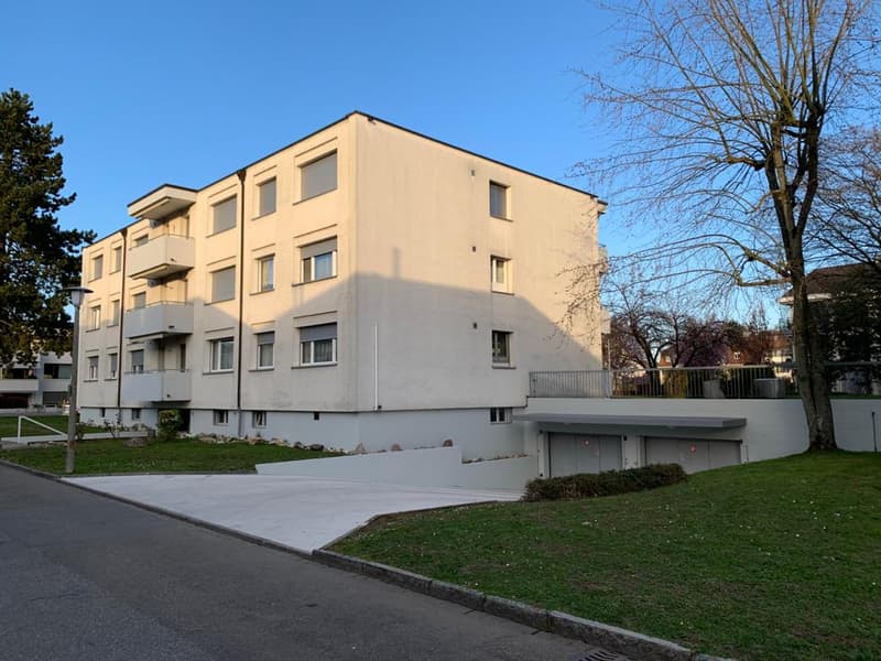 Einstellhallenpllatz zu vermieten - Erste drei Monate mietzinsfrei (1)