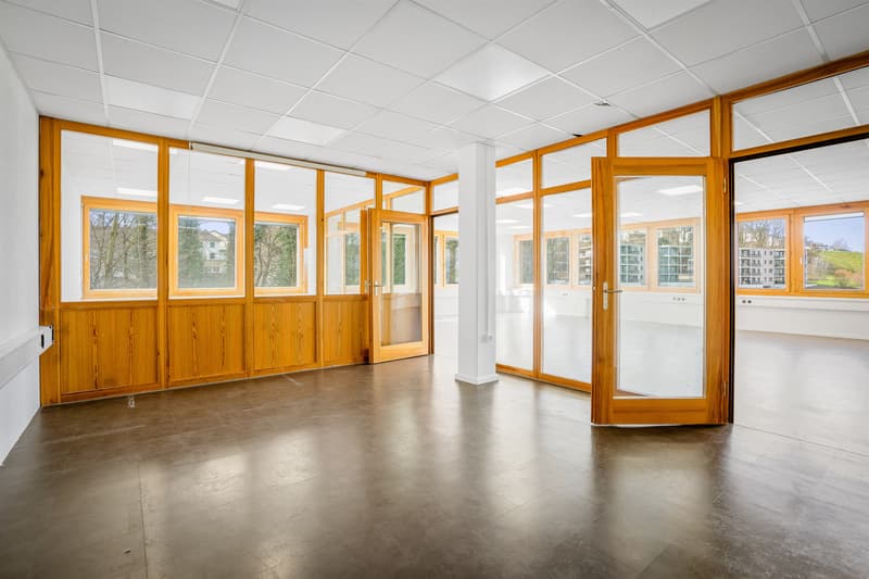 Locali studio/ufficio luminosi (5)