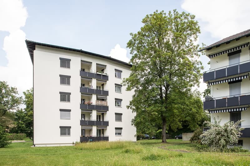 Mietzinsfrei die ersten 2 Monate - Grosszügiger Gewerberaum (2)