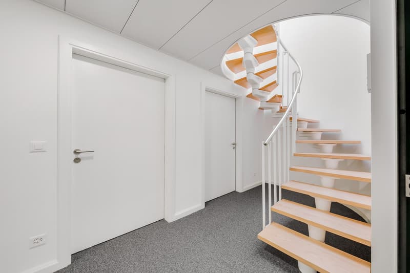 Attractive office space for rent in Zurich (5)