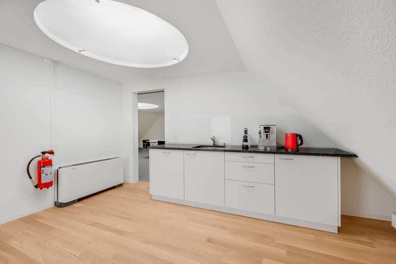Espace de bureau attractif à louer à Zurich (4)