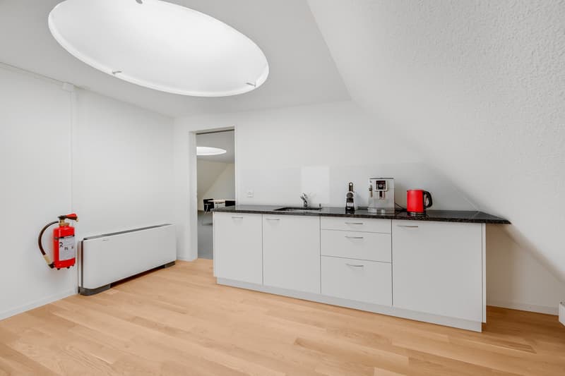 Attractive office space for rent in Zurich (4)