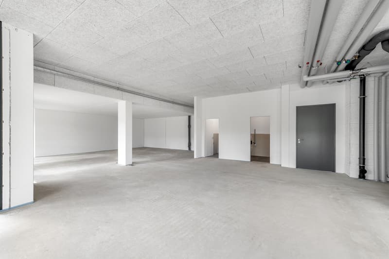 Büro- oder Gewerbefläche in der modernen Überbauung Sennenwies (5)