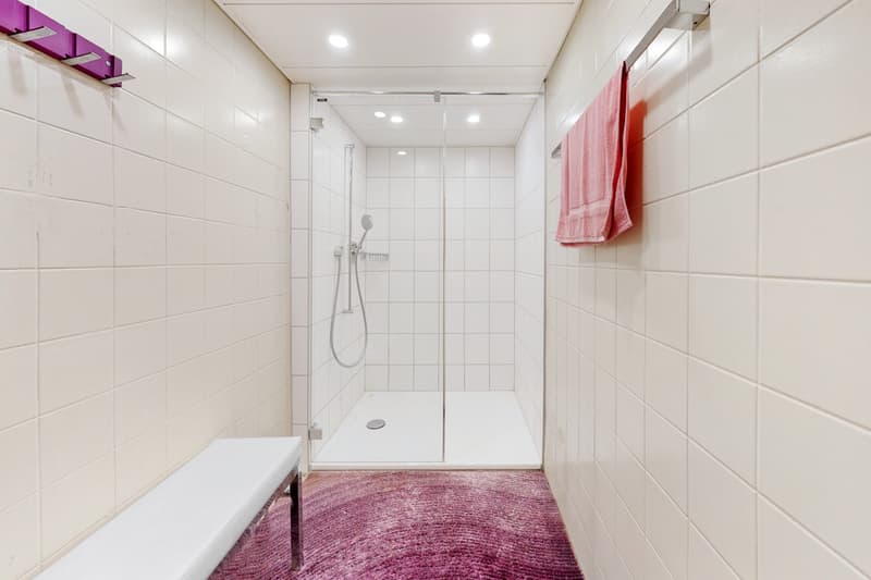 236m² - Vielseitig nutzbares Geschäftslokal - befristen bis Anfang 2027 (9)