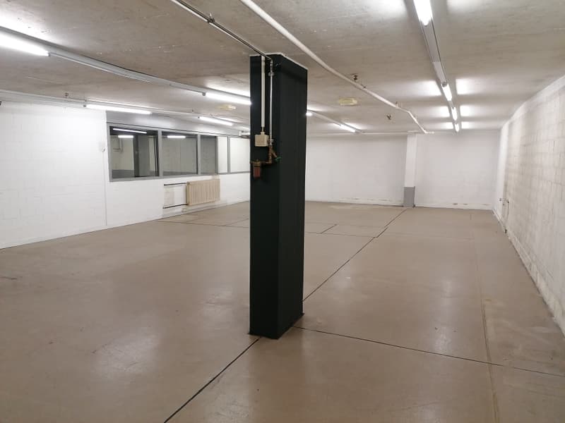 Werkstatt/Lagerhalle zu vermieten (2)
