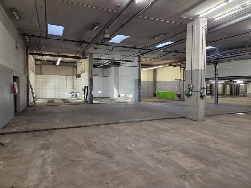 Werkstatt/Lagerhalle zu vermieten (1)