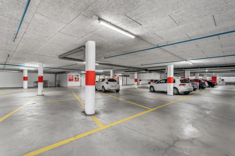 Verkaufsfläche im Thurgipark - ideal für Discounter und Fachmärkte (9)