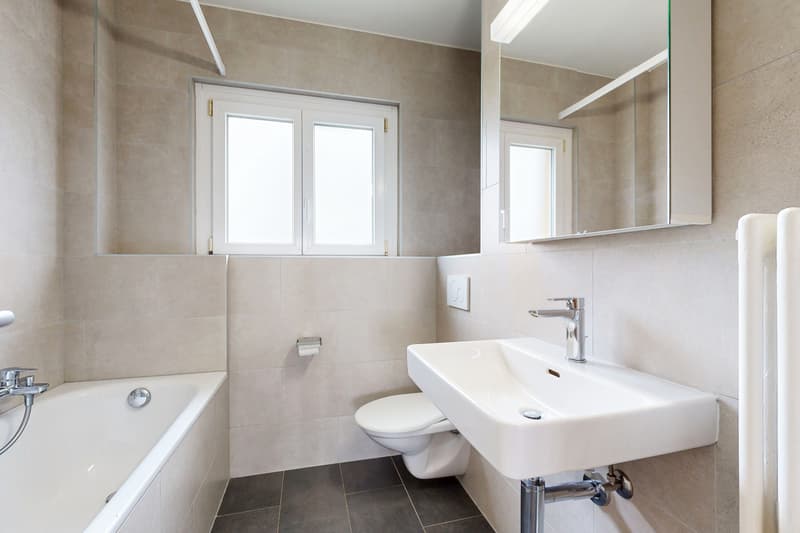 Logement spacieux et lumineux (9)