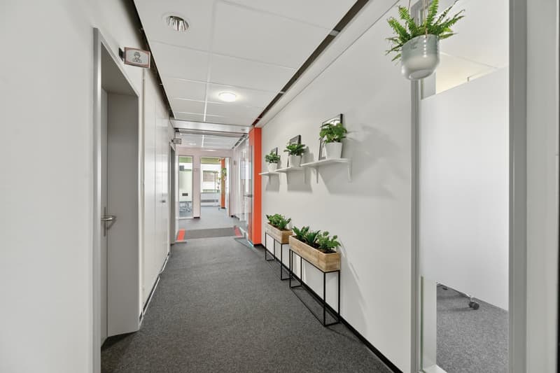 Ihre Chance für ausgebaute Büroflächen in Altstetten (8)