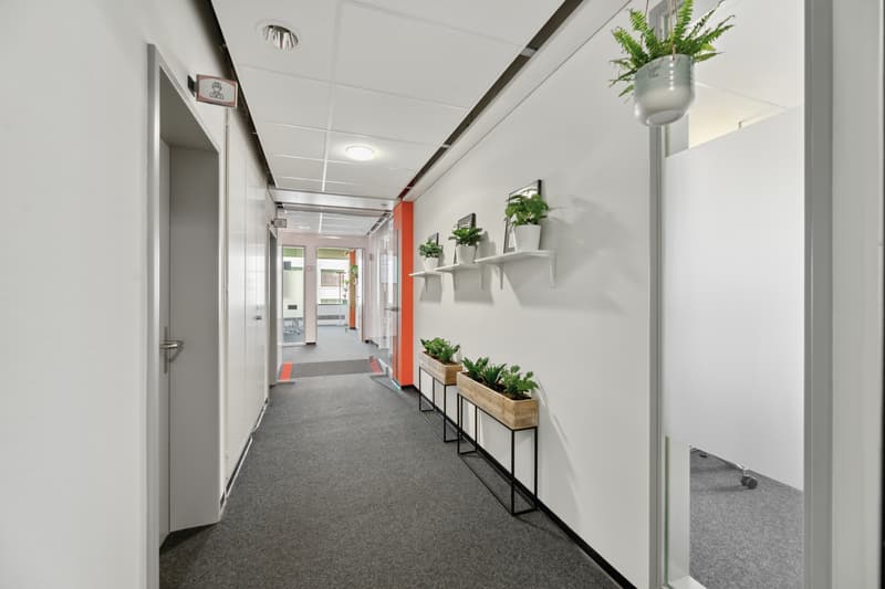 Your chance for expanded office space in Altstetten (8)