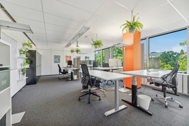 Your chance for expanded office space in Altstetten (5)