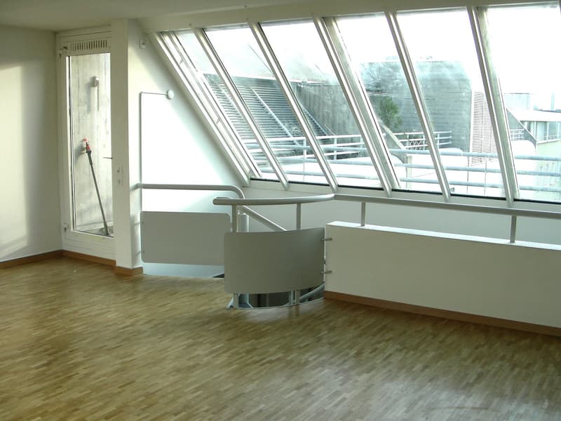 Traumhafte Galerie-Wohnung mit atemberaubender Aussicht! (3)