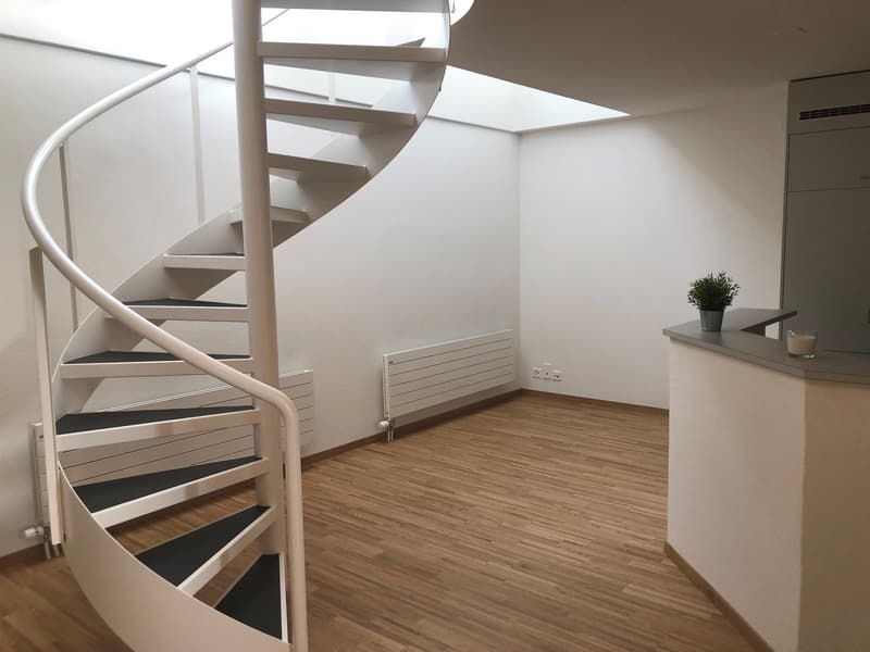 Traumhafte Galerie-Wohnung mit atemberaubender Aussicht! (8)