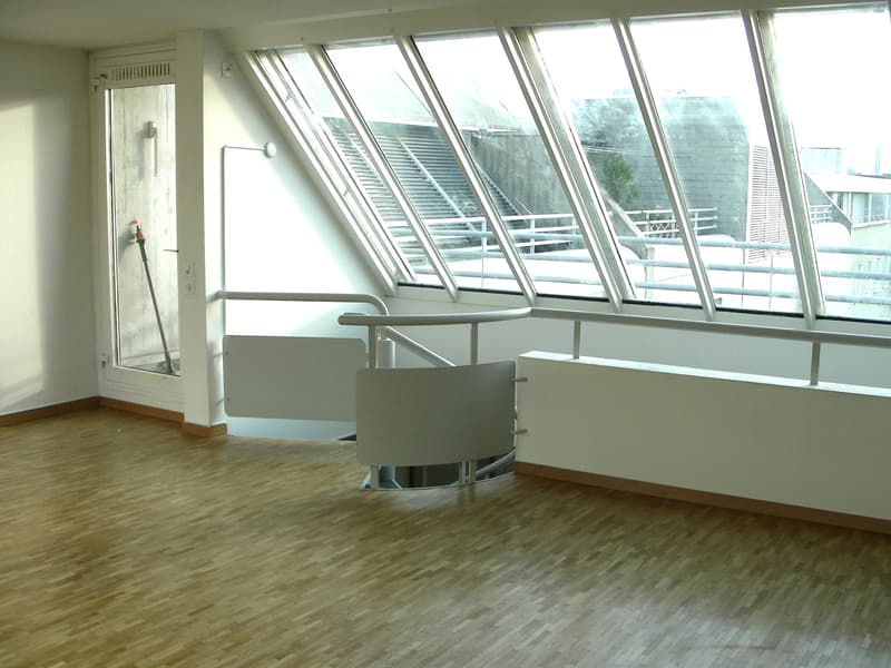 Traumhafte Galerie-Wohnung mit atemberaubender Aussicht! (3)