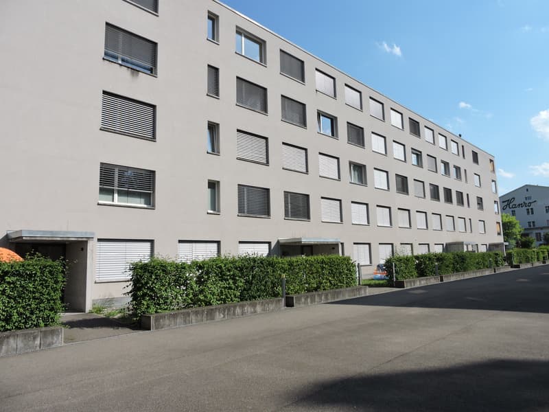 Stanzone per lavori manuali in affitto a Liestal! (1)
