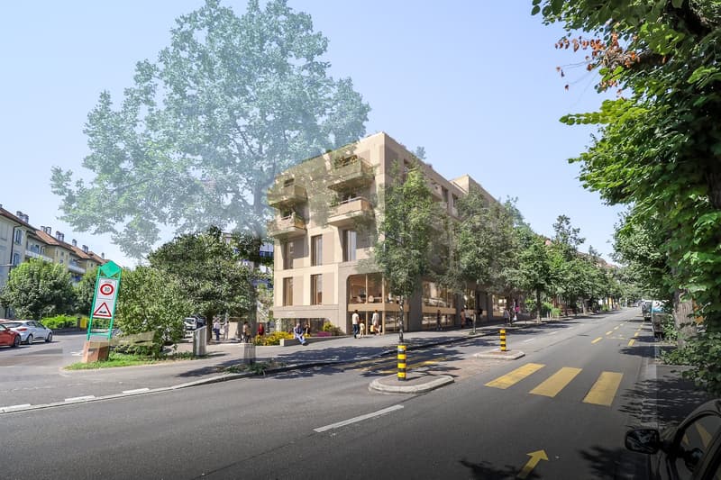 Opportunité rare : vos futurs bureaux sous-gare! (2)