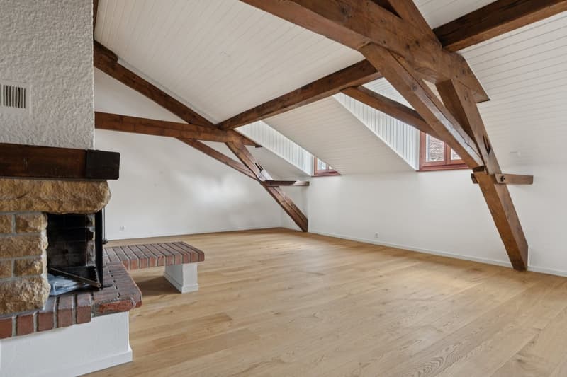 Appartement rénové au coeur de Lausanne (8)
