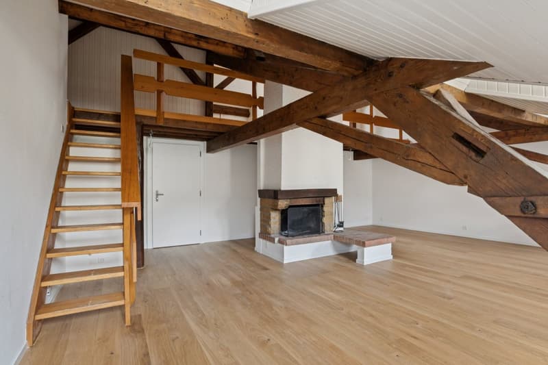 Appartement rénové au coeur de Lausanne (5)