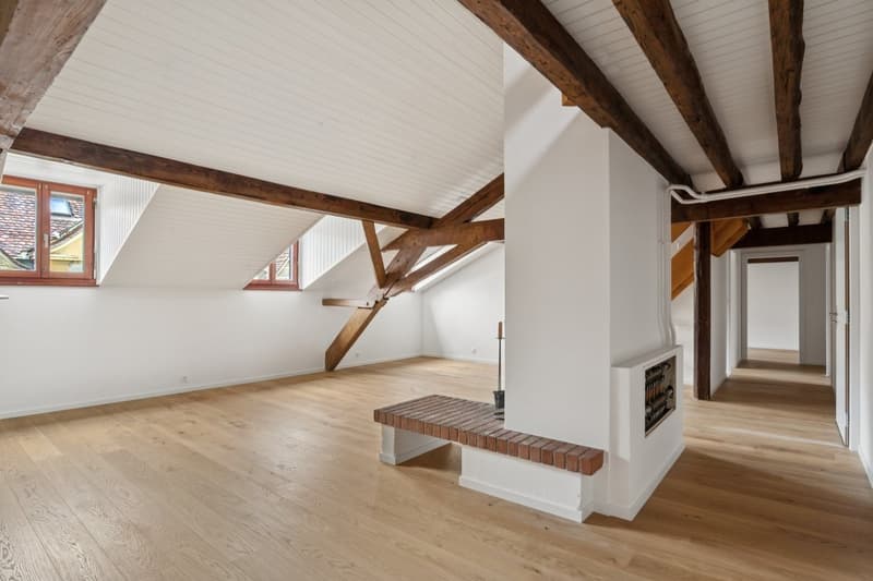 Appartement rénové au coeur de Lausanne (4)