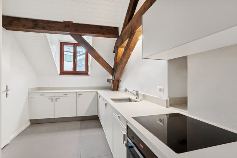 Appartement rénové au coeur de Lausanne (3)
