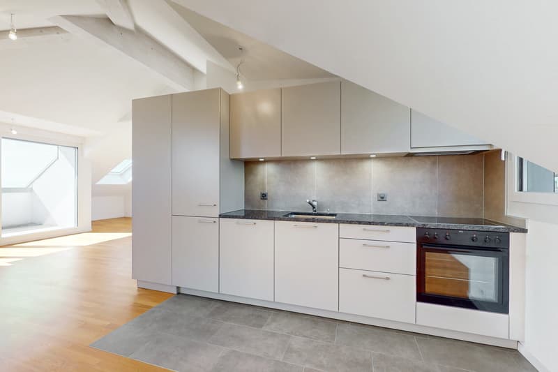 Superbe loft sous les combles (6)