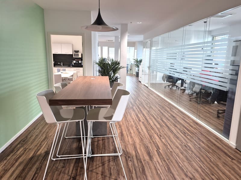 Bureaux plug-and-play modernes et fonctionnels (3)