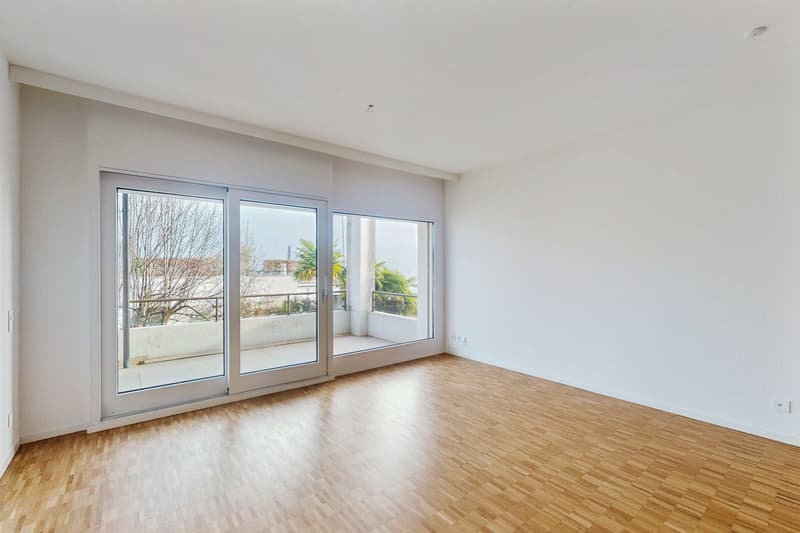 Il meglio di Lugano: vista lago e 2 pigioni nette gratis (2)