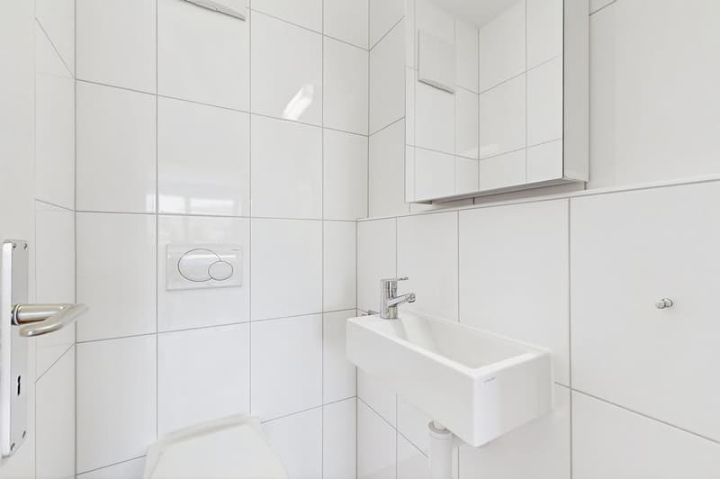 Wohnung an beliebter Lage in Aesch (10)
