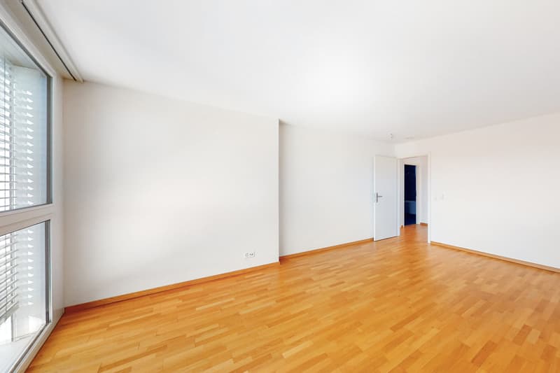 Magnifique duplex à Fribourg proche de la gare (6)