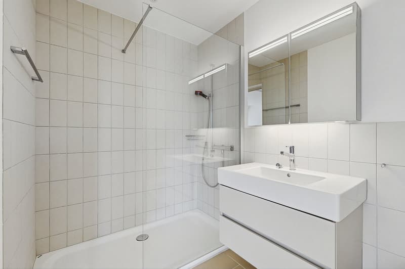 Moderne Singlewohnung in Zürich mit grosszügiger Dachterrasse! (9)