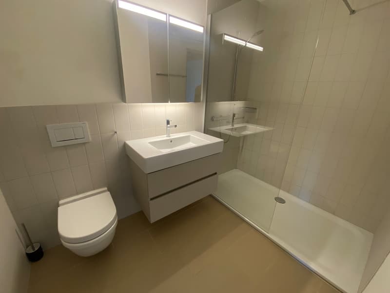 Moderne Singlewohnung in Zürich mit grosszügiger Dachterrasse! (4)