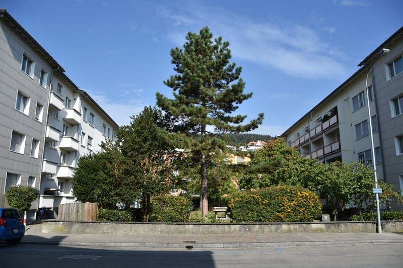 Bright apartment in a central and yet quiet location (3)