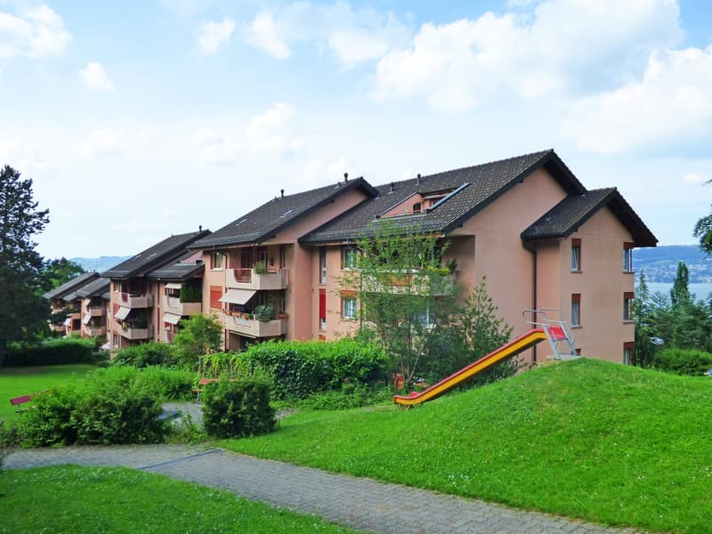 Einstellplätze an der Neudorfstrasse in Wädenswil zu vermieten (1)