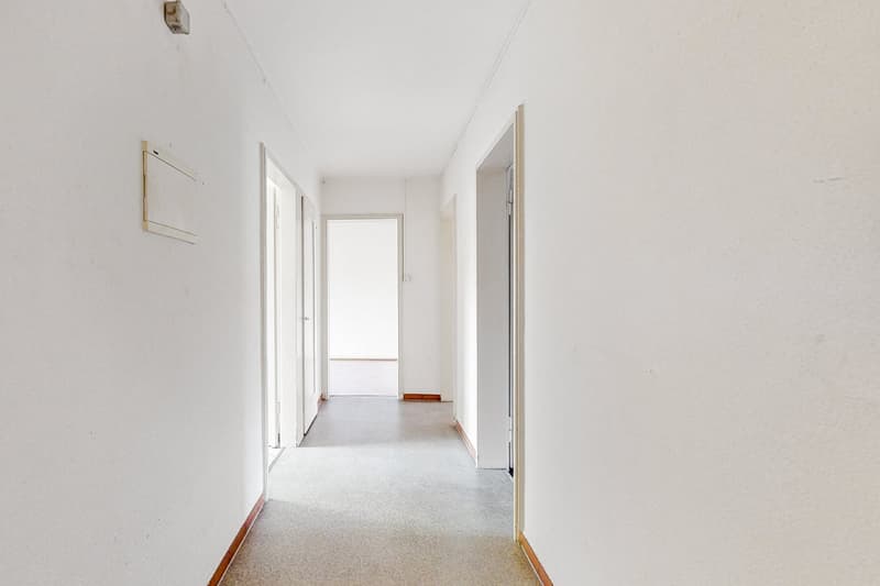 Appartamento di 3 locali accogliente (2)