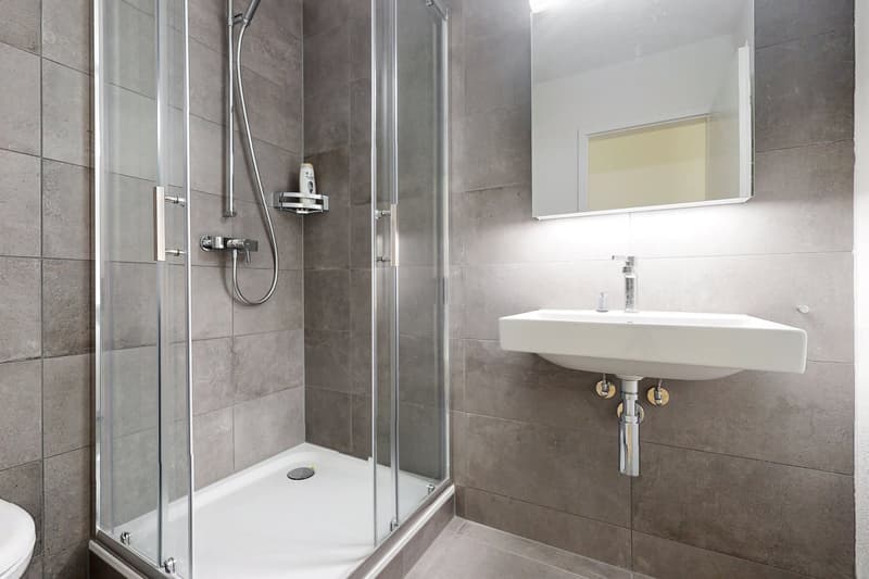 Appartements rénovés - 5.5 pièces  Rue Marcello, Fribourg (9)