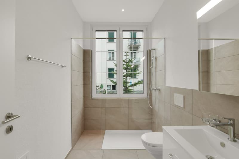 Premier location après rénovation complète (3)