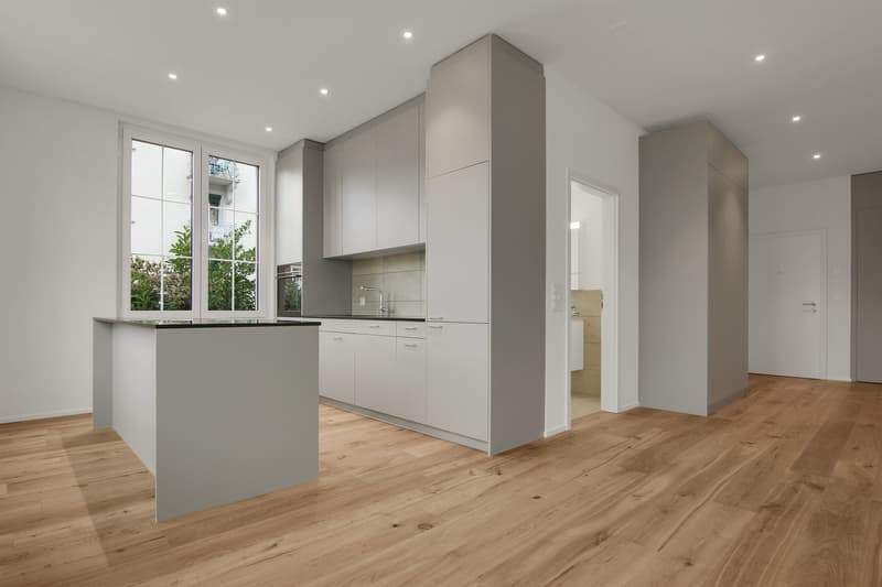 Premier location après rénovation complète (2)