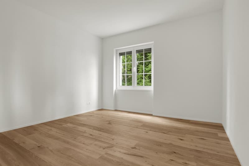 Premier location après rénovation complète (5)