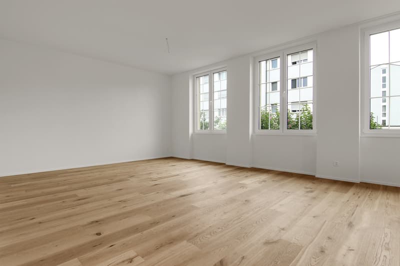 Premier location après rénovation complète (4)