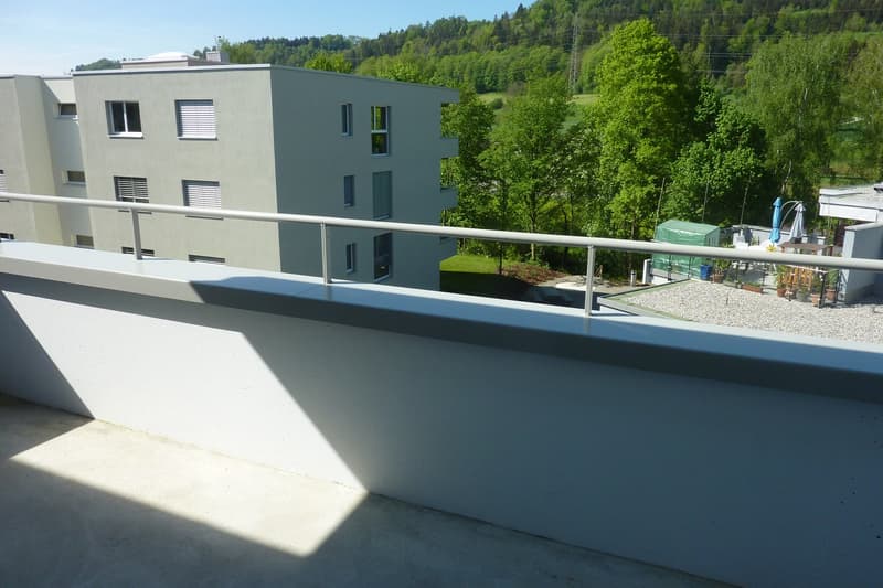Appartement avec vue sur le vert ! (7)
