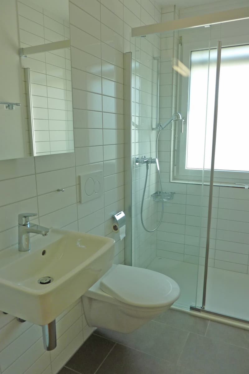Appartement avec vue sur le vert ! (4)