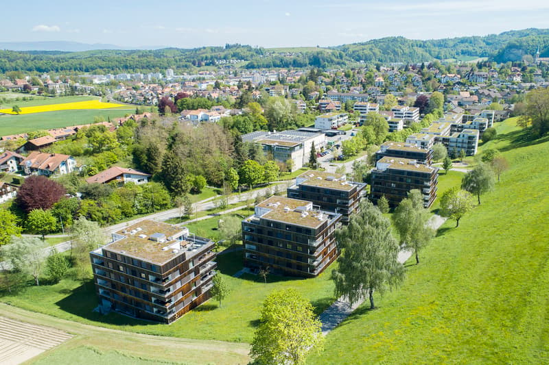 Traumwohnung mit grossem Balkon! (2)