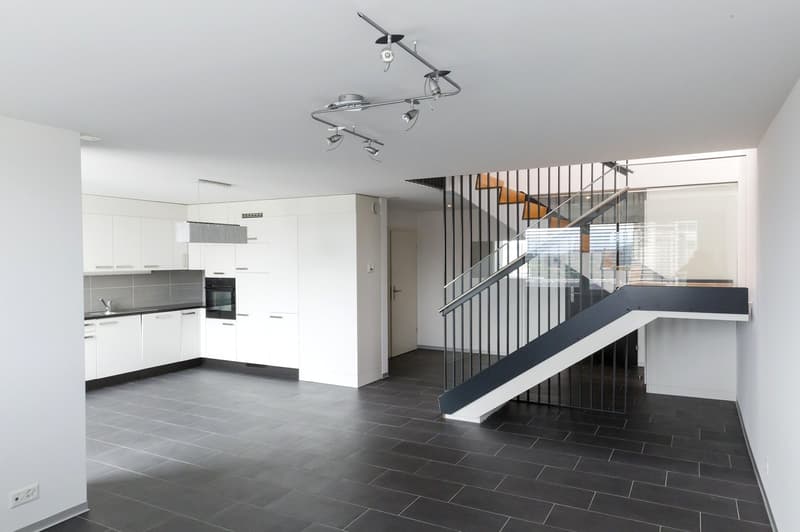 Magnifique duplex (5)