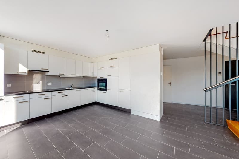 Magnifique duplex (4)