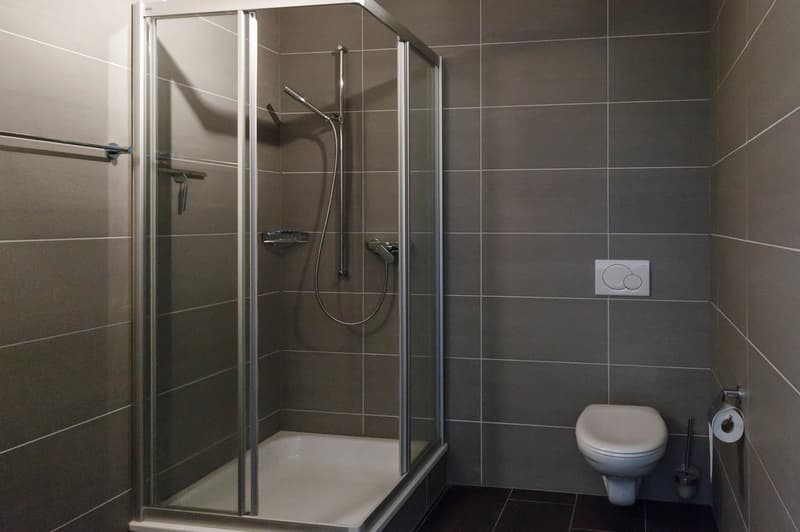Magnifique duplex (6)