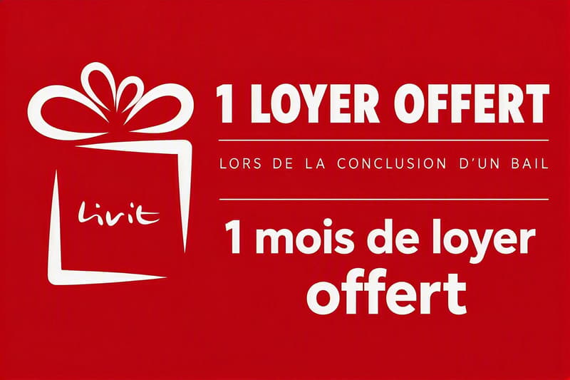 Magnifique duplex - 1 mois de loyer offert (12)