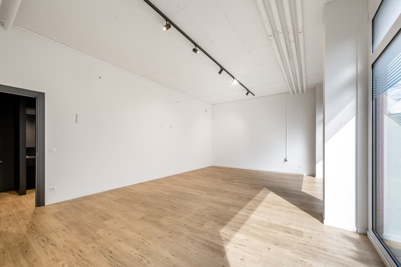 Moderne, hochwertig ausgebaute Gewerbefläche im Zentrum des Mutschellen (11)