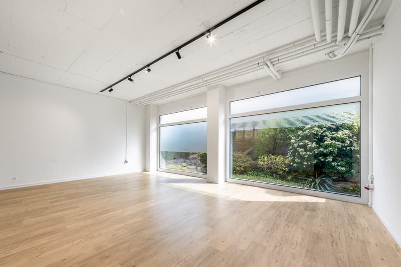 Moderne, hochwertig ausgebaute Gewerbefläche im Zentrum des Mutschellen (10)